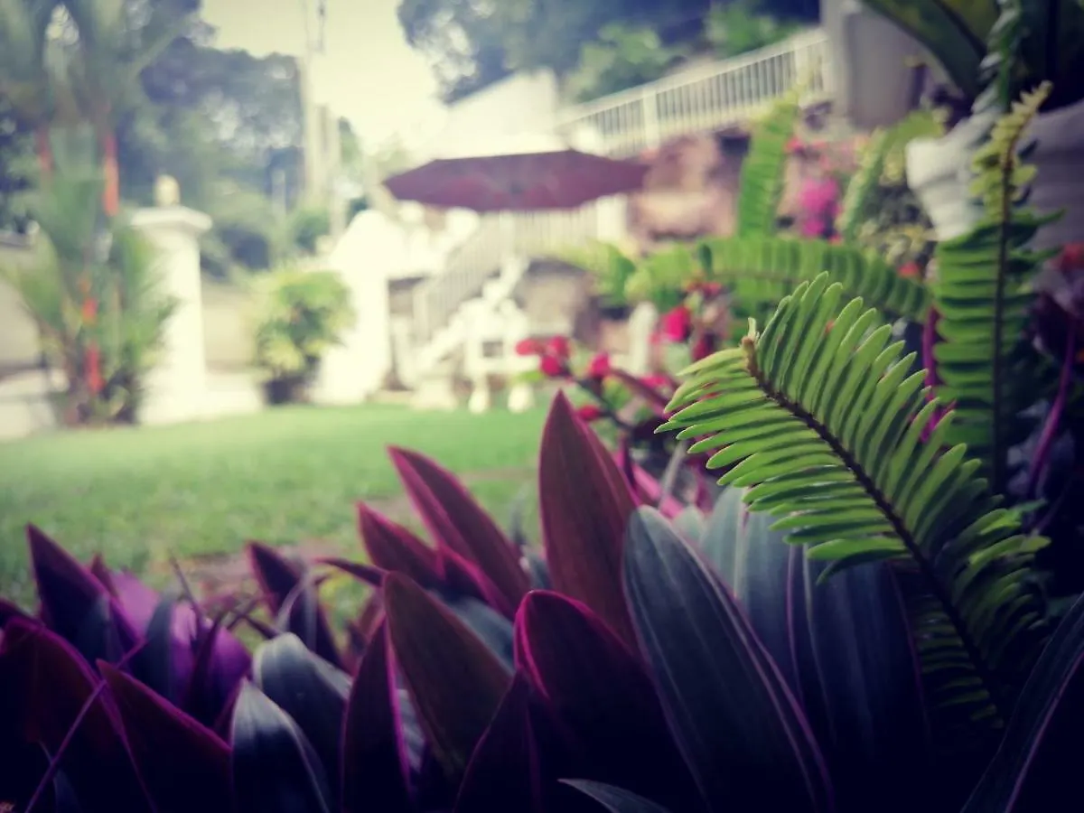 Anna Shanthi Villa Kandy 2*,