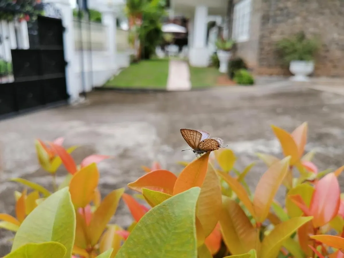 Anna Shanthi Villa Kandy Gasthuis